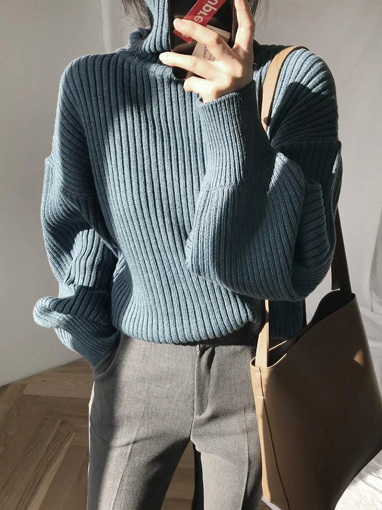 Chunky Turtleneck Knit Sweater
